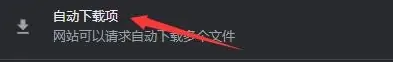 谷歌浏览器怎么设置网站一次性下载多个文件8